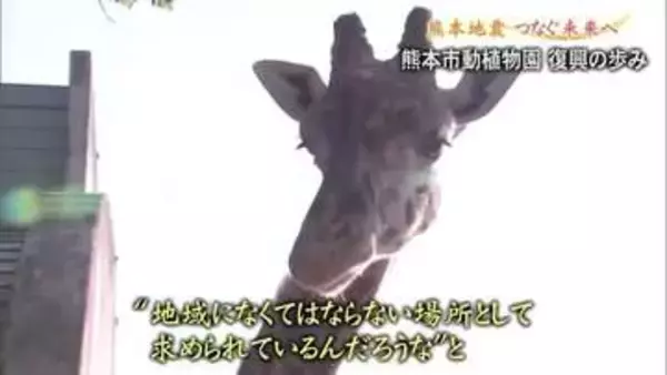熊本地震 つなぐ未来へ／熊本市動植物園　復興の歩み