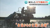 「「全国からの支援に感謝」８月の記録的大雨から４カ月あまり 被災したイグサ農家の今【熊本】」の画像1