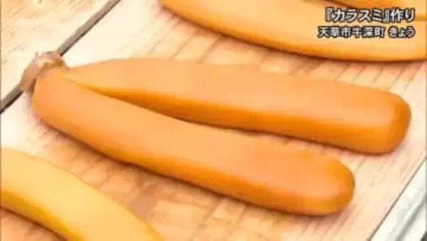 『カラスミ』作りが天草市牛深町で最盛期【熊本】