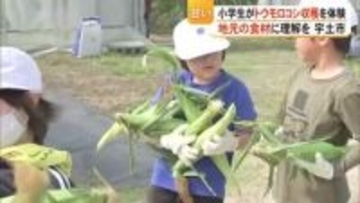 小学生がトウモロコシの収穫に挑戦【熊本】