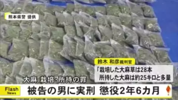 「犯情は相応に悪い」大麻を栽培・所持した罪に問われている男に実刑判決【熊本】