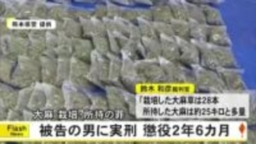 「犯情は相応に悪い」大麻を栽培・所持した罪に問われている男に実刑判決【熊本】