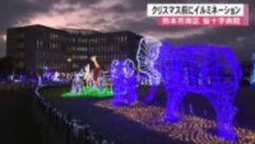 クリスマス前に桜十字病院で恒例のイルミネーション【熊本】