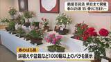 「『春のばら展』開催中　鶴屋百貨店【熊本】」の画像1