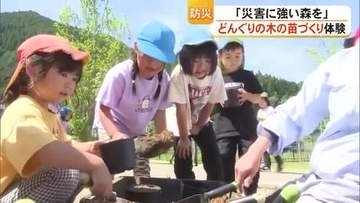 園児がどんぐりの木の苗づくりを体験／八代市坂本町【熊本】