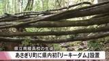 「県立南稜高校の生徒が県内初の木材を利用した『リーキーダム』をあさぎり町に設置【熊本】」の画像1
