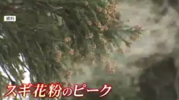 起床直後に花粉症の症状がつらい「モーニングアタック」　有効なのは空気清浄機より加湿器　重い症状には注射治療も　福岡