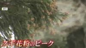 起床直後に花粉症の症状がつらい「モーニングアタック」　有効なのは空気清浄機より加湿器　重い症状には注射治療も　福岡