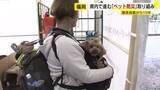 「熊本地震10年　ペットを災害から守る取り組み　人と一緒に入れる「ペットシェルター」で日常と防災を両立へ　「車中泊」支援も課題　福岡」の画像1