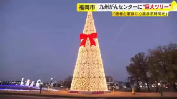 心いやす“福岡最大級”クリスマスツリー　九州がんセンターにお目見え　高さ約18メートル「患者と家族に心温まる時間を」1月31日まで点灯　福岡