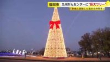 心いやす“福岡最大級”クリスマスツリー　九州がんセンターに登場　高さ約18メートル「患者と家族に心温まる時間を」1月31日まで点灯　福岡