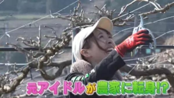 華やかなステージから自然に囲まれた大地へ マイクをクワに持ち替えて 元アイドルが農家に転身 夢は地産地消ワイン 【画像】