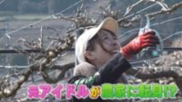 華やかなステージから自然に囲まれた大地へ マイクをクワに持ち替えて 元アイドルが農家に転身 夢は地産地消ワイン 【画像】