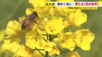 春めく街に新たな“花の名所”が誕生　チューリップやガザニアなど約1100株　市の雑草対策の一環で　福岡・北九州市