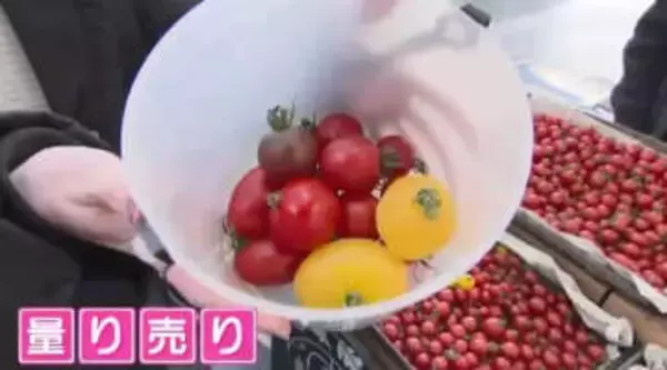 安納芋がおでんに!? 博多駅前に“九州の旬”が約240店集結　皮が薄すぎる希少トマトも　生産者直伝の「おいしい」大集合　福岡
