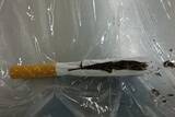 「紙巻きタバコ装い乾燥大麻を密輸の疑い　バングラディシュ国籍の男を逮捕　スーツケースに隠し航空機で　福岡空港で発見」の画像1