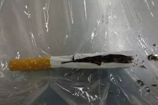 紙巻きタバコ装い乾燥大麻を密輸の疑い　バングラディシュ国籍の男を逮捕　スーツケースに隠し航空機で　福岡空港で発見