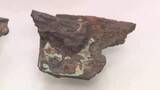 「世界文化遺産「宗像・沖ノ島」　金メッキの甲冑破片を発見　当時の王権が沖ノ島での祭祀を重要視か　福岡」の画像1