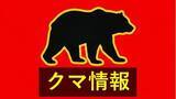 「山の斜面を登るクマ1頭を目撃　萩市の駐在所から東に約5キロの場所　体長約1メートル　注意を呼びかけ　山口」の画像1