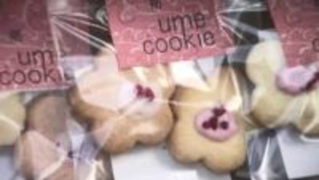 “梅の街”をPR「太宰府梅乃市」　紅梅にちなみ“赤”を身につけた人にプレゼント　梅を使ったスイーツやビールも　福岡