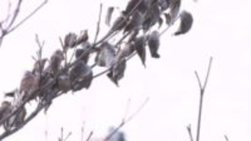 福岡県の標高の高いところで積雪のおそれ　18日夜から19日午前中にかけて　強い寒気が流れ込む影響　路面凍結などに備えを　気象台