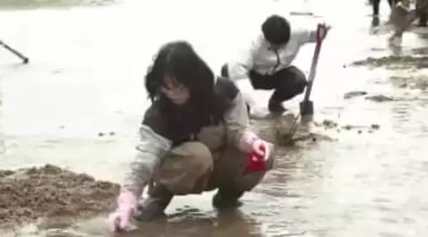 水揚げ激減で休漁続く「シロウオ」“春の風物詩”の復活めざし産卵場所づくり　市民ボランティアなどが活動　福岡・室見川