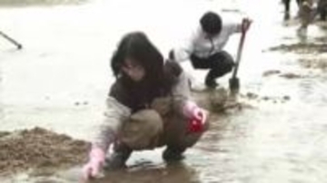 水揚げ激減で休漁続く「シロウオ」“春の風物詩”の復活めざし産卵場所づくり　市民ボランティアなどが活動　福岡・室見川