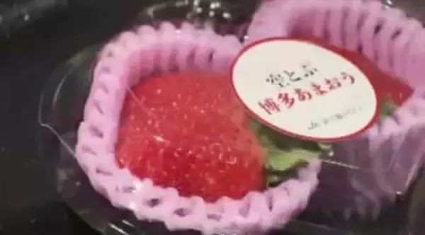 空飛ぶ「あまおう」首都圏へ…新鮮なまま飛行機でスピード輸送　出荷翌日には店頭に　県とJAが取り組み本格化　福岡