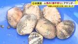 「GWレジャー「潮干狩り」人気も…アサリがとれない　「ピークと比べると何十分の一になっている」　全国有数の産地でも減少　自治体は回復に向け取り組み　福岡」の画像1