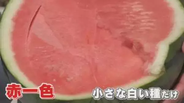 スイカも“種ごと食べられる”時代に！ 栽培成功の裏に『世界で唯一の花粉』技術 海外流出の心配もなし【福岡発】