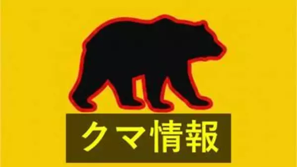 県道走行車のドライブレコーダーにクマが　警察がパトロールと共に注意呼びかけ　山口・岩国市
