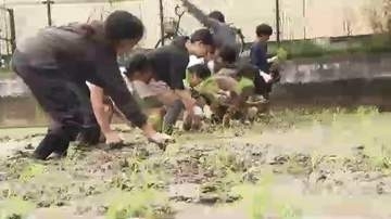 北九州市の小学生が田植え体験　県産米「元気つくし」の苗を植え付け　食の大切さ学ぶ　福岡