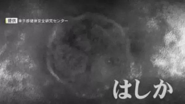 脳炎や肺炎などの合併症を引き起こす恐れ『はしか』 “最強クラス”とされる感染力 成人もワクチン接種を 【福岡発】