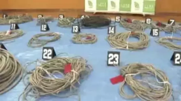 農業用ハウスから約370万円相当の銅線盗んだ疑い　20代男4人が30件の犯行に関与「遊ぶ金欲しかった」　せん定ばさみで切断し持ち去る　福岡