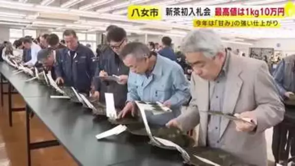 「八女茶」新茶初入札会　最高値は1キロ10万円　今年は「甘み」の強い仕上がり　福岡・八女市