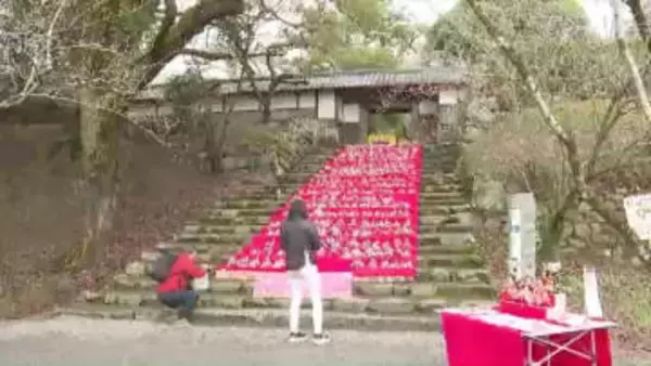 秋月城跡の石段に『ひな人形』約600体　観光客が自由に飾りつけ　「ひとつひとつ表情も違う」　福岡・朝倉市