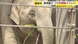 「8月12日「世界ゾウの日」を前に　福岡市動物園でゾウの特別イベント　飼育員が子供たちに解説　9月12日まで毎週土曜日は「夜の動物園」も」の画像1
