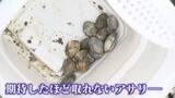 「人気の『潮干狩り』なのにアサリが…  全国有数の産地でも激減  自治体は回復に向け取り組むが… 【福岡発】」の画像1