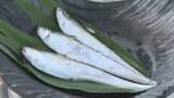 「初夏の風物詩「エツ漁」解禁　産卵のため筑後川を遡上する“幻の魚”　豊漁を祈願する神事　福岡・久留米市」の画像1