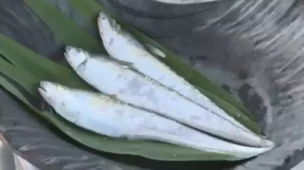 初夏の風物詩「エツ漁」解禁　産卵のため筑後川を遡上する“幻の魚”　豊漁を祈願する神事　福岡・久留米市