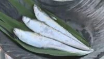 初夏の風物詩「エツ漁」解禁　産卵のため筑後川を遡上する“幻の魚”　豊漁を祈願する神事　福岡・久留米市