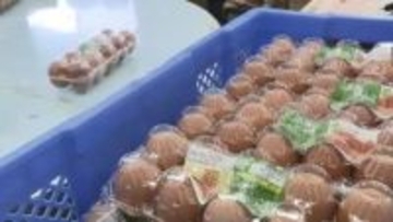 「10パーセントくらいは…」原油高で卵も値上げへ　包装資材や輸送のコストが上昇　鳥インフル拡大でダブルパンチ　店頭で歴史的高騰に　福岡