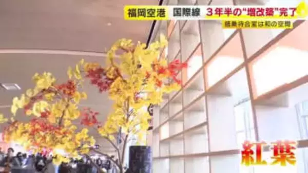 需要高まる福岡空港　国際線ターミナルのリニューアル完了　3年半かけて増改築　福岡～韓国・チェジュ線も復活