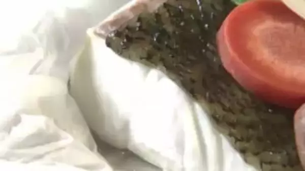 脂がのって優しい甘み…旬のヒラメはいかが「博多×ヒラメフェア」　和食に中華、フレンチなど7店舗が参加　福岡市