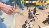 「４月１９日は「飼育の日」　マリンワールド海の中道で「大人の飼育員体験」　福岡市」の画像1
