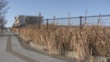 草刈りでは間に合わず…街の雑草が“温暖化”で繁茂　専門家が対策を検討　北九州市が初会合　福岡