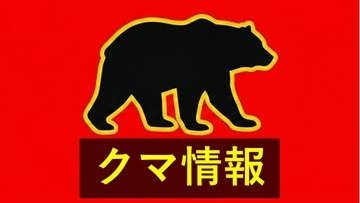 周南市の国道でクマ1頭目撃　約200メートル先を横切る　JR徳佐駅から約8キロの場所　体長50～60センチ　注意呼びかけ　山口