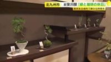 旧安川邸で企画展「緑と珈琲の休日」　歴史ある場所で静かな時間を　福岡・北九州市戸畑区