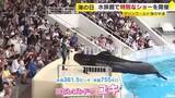 「飼育“9000日”で国内記録を更新中　コビレゴンドウ「ユキ」の特別ショー　マリンワールド海の中道　福岡市」の画像1