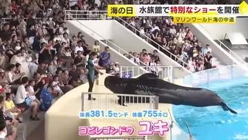 飼育“9000日”で国内記録を更新中　コビレゴンドウ「ユキ」の特別ショー　海の中道マリンワールド　福岡市